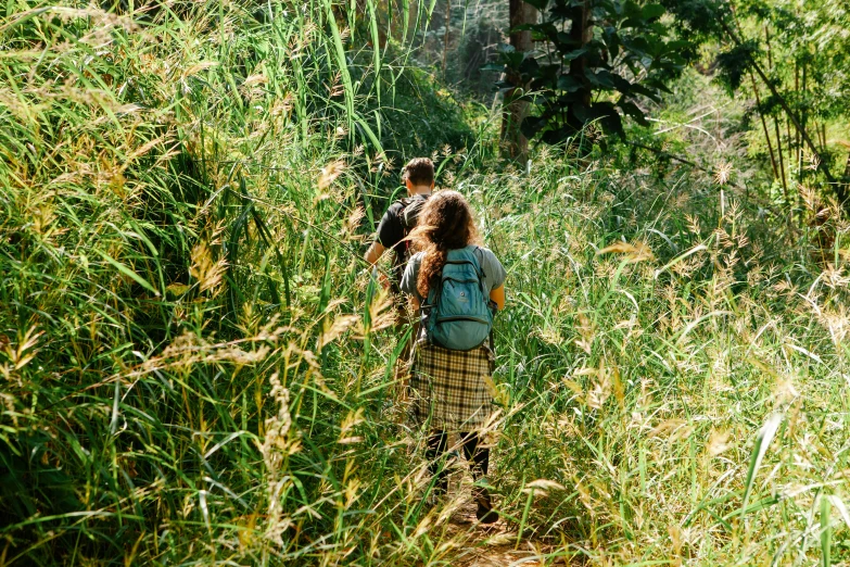 a couple of people that are walking in the grass, pexels, overgrown jungle, with a backpack, in the high grass, humans exploring