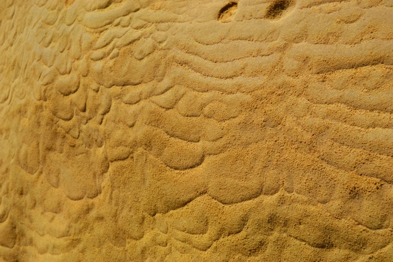 a close up of the skin of an elephant, a stipple, by Alison Watt, unsplash, sand sculpture, geological strata, yellow ochre, panels