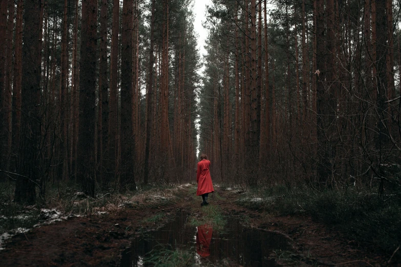a person in a red coat walking through a forest, pexels contest winner, puddles, infp young woman, ((forest)), pine forests
