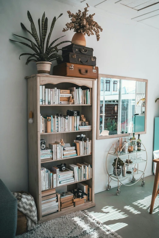 a living room filled with furniture and a book shelf, by Jan Tengnagel, unsplash, in a white boho style studio, storefront, vintage theme, low - angle shot