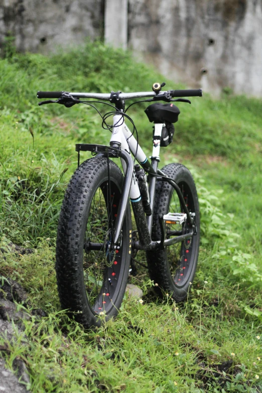 a bicycle parked on the side of a hill, profile image, lush surroundings, freezing, front side full