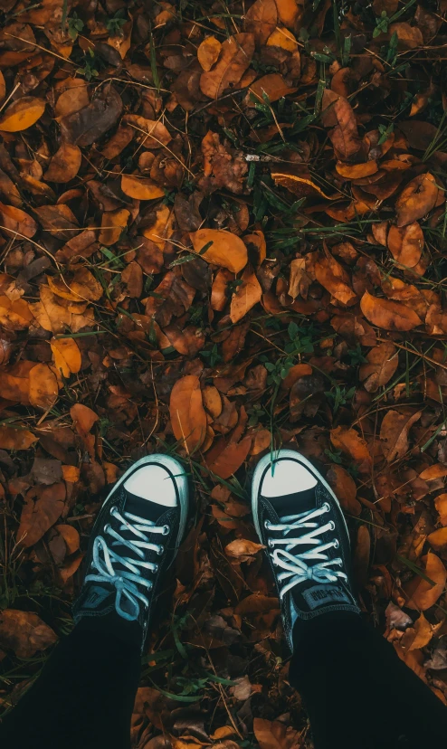 a person standing on top of a pile of leaves, an album cover, inspired by Elsa Bleda, pexels contest winner, running shoes, 15081959 21121991 01012000 4k, a high angle shot, thumbnail