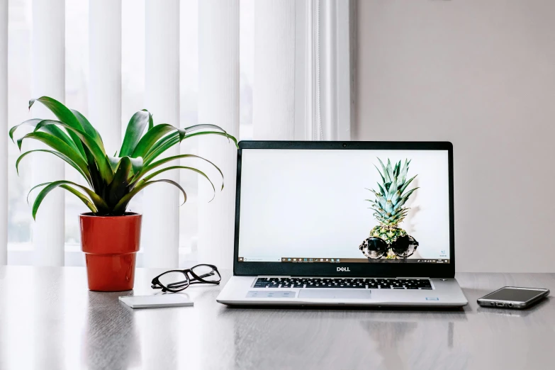 a laptop computer sitting on top of a wooden desk, unsplash, plants in a glass vase, bromeliads, white backround, large screen