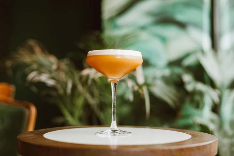 a cocktail sitting on top of a wooden table, inspired by Richmond Barthé, unsplash, private press, vibrantly lush, portrait of tall, very award - winning, in house