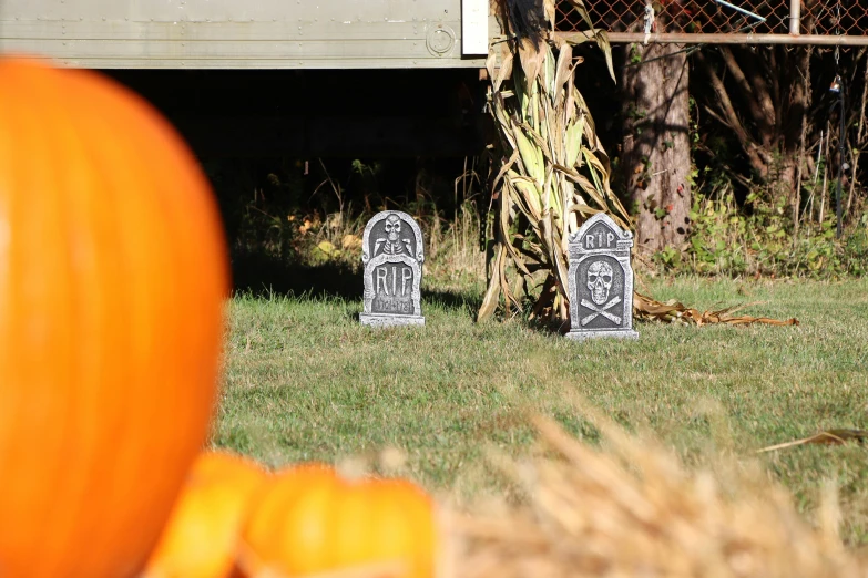 a couple of tombstones that are in the grass, beistle halloween decor, zoomed in shots, medium-shot, slate