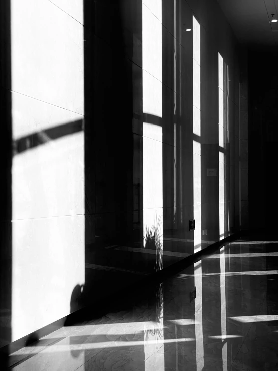 a black and white photo of a hallway, a black and white photo, by Patrick Pietropoli, light and space, the sun reflecting on a window, some light reflexions, dramatic lighting - n 9, deep shadows and colors