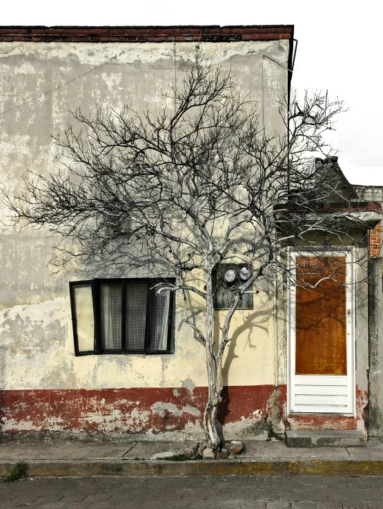 an old building with a tree in front of it, a photo, by Lucia Peka, hyperrealism, in chuquicamata, door, neighborhood, winter photograph
