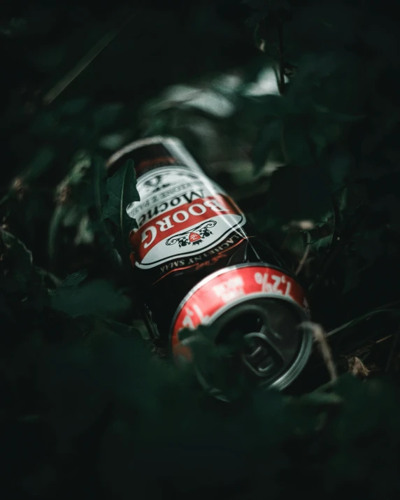 a can of root beer sitting in the grass, by Jacob Toorenvliet, pexels contest winner, in a dark forest, red wings, 15081959 21121991 01012000 4k, party in jungles