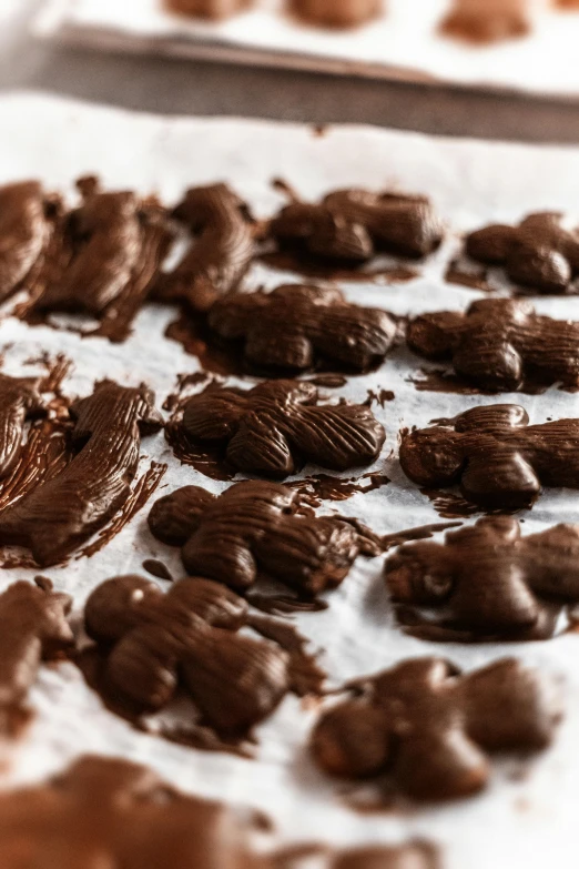 a table topped with lots of chocolate covered nuts, process art, smooth rounded shapes, embossed, thumbnail, bears