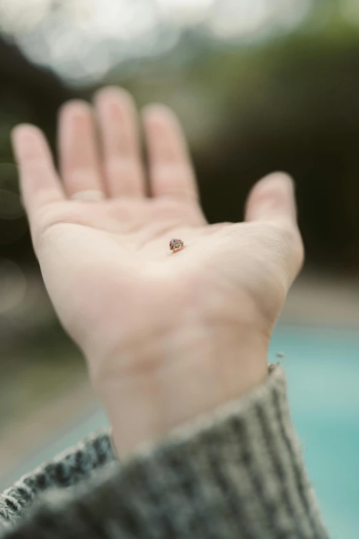 a person holding their hand out in front of a pool, a macro photograph, by Adam Chmielowski, unsplash, renaissance, tiny insects, unrefined sparkling gold nugget, garnet, over the shoulder view