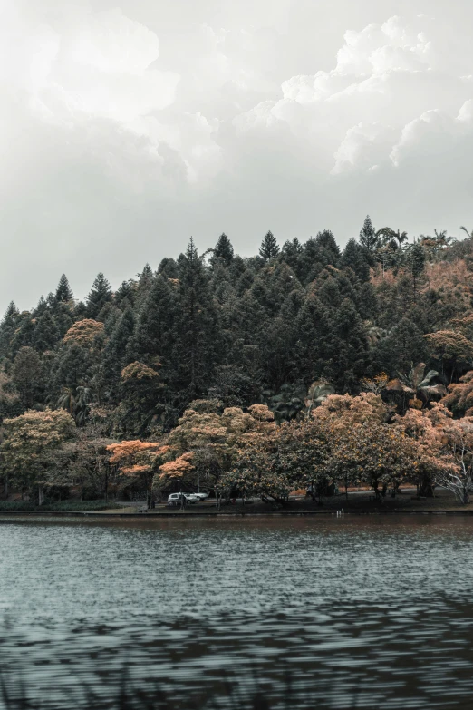 a large body of water surrounded by trees, a colorized photo, unsplash contest winner, sōsaku hanga, muted colors. ue 5, japanese town, lakeside, dark grey and orange colours