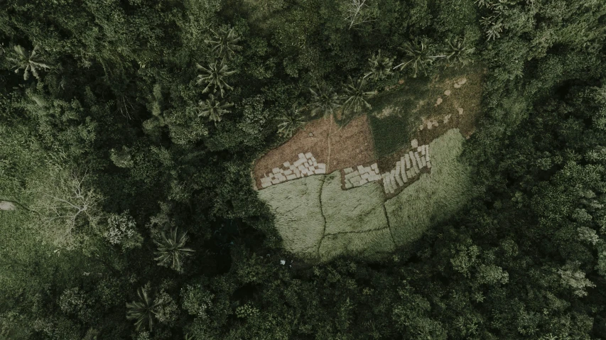 a large rock sitting in the middle of a forest, by Daniel Lieske, hurufiyya, aerial view of an ancient land, rice paddies, ignant, jungle camo