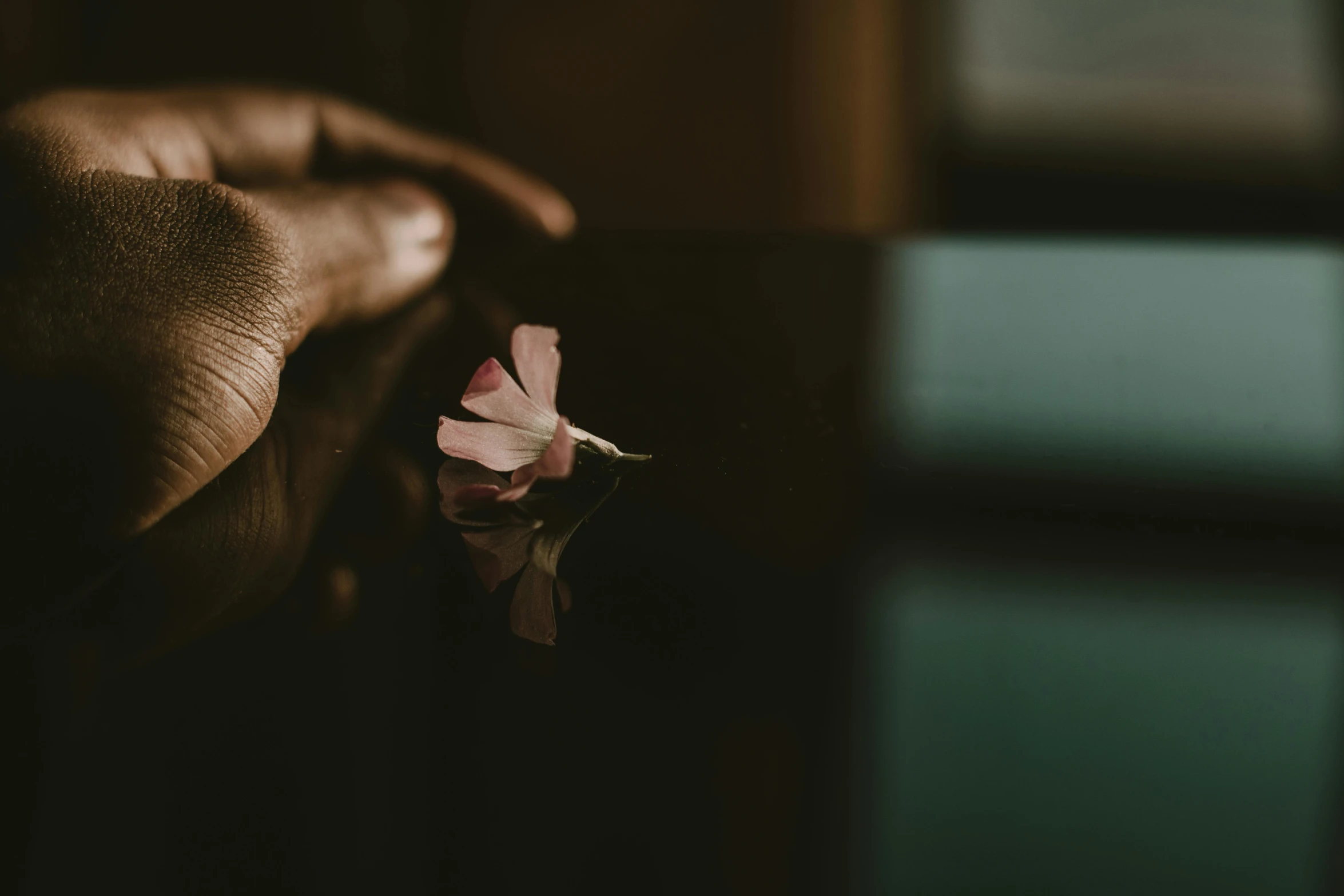 a close up of a person holding a flower, unsplash, hurufiyya, lying on an empty, dark-skinned, hand on table, reflection