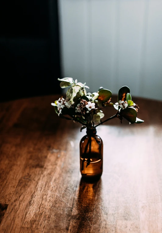 a vase filled with flowers sitting on top of a wooden table, unsplash, minimalism, whiskey bottle, nothofagus, back lit, quaint