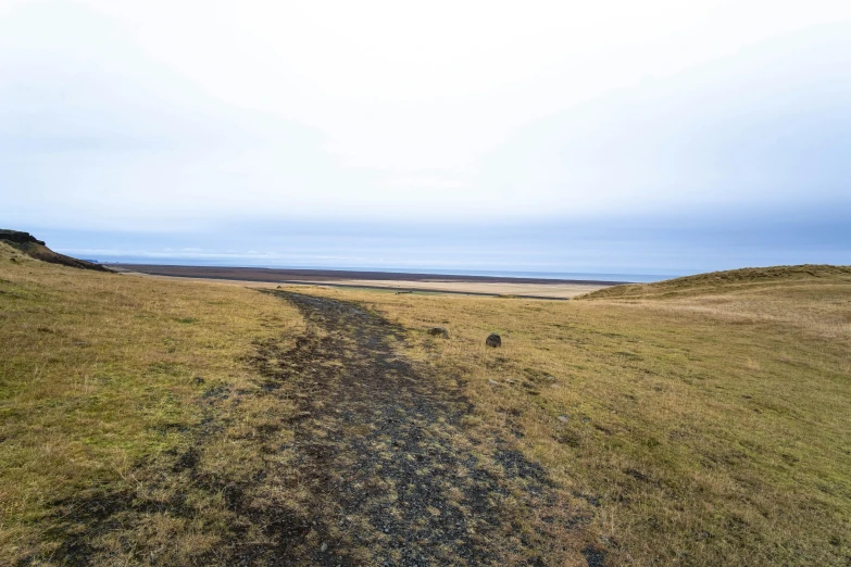 a couple of sheep standing on top of a grass covered field, by Hallsteinn Sigurðsson, unsplash, land art, ocean shoreline on the horizon, rocky ground with a dirt path, panorama distant view, sparse frozen landscape