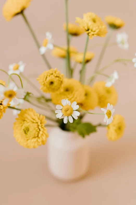 a white vase filled with yellow and white flowers, trending on unsplash, playful composition, daisy, detailed product shot, warm hue