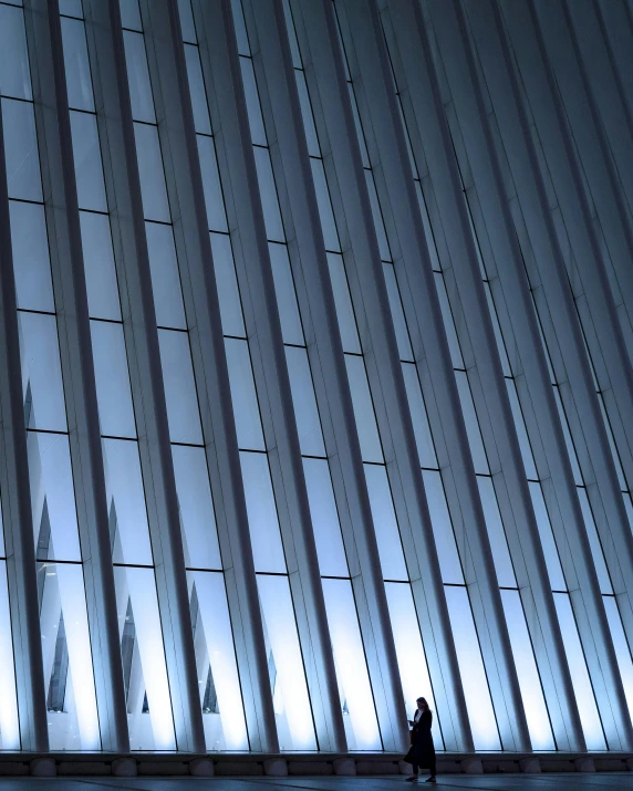 a person standing in front of a tall building, vertical lines, large window, metal panels, calatrava