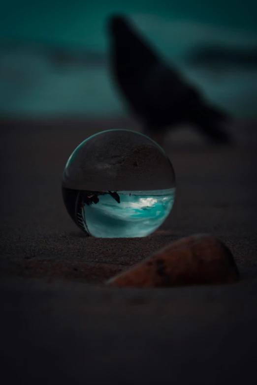 a glass ball sitting on top of a sandy beach, is looking at a bird, 500px, high-quality photo, marble hole