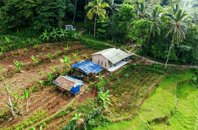 a couple of houses sitting on top of a lush green hillside, sumatraism, hydroponic farms, coconut trees, flat lay, makeshift house