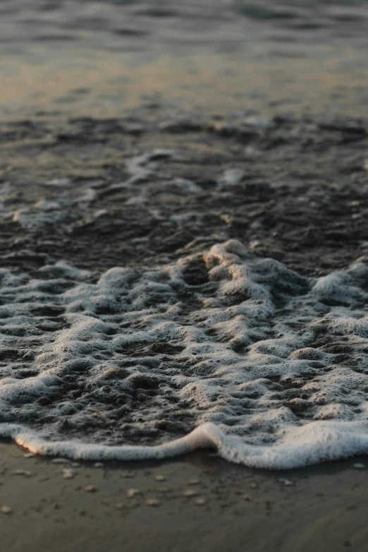 a bird standing on top of a beach next to the ocean, foamy waves, detailed 4k photograph, rushing water, dusk