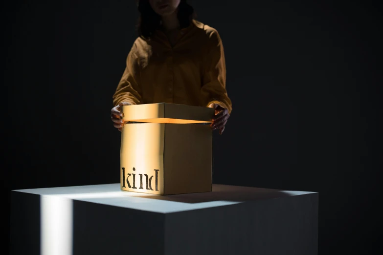 a woman standing in front of a box with the word kind on it, inspired by Eden Box, trending on unsplash, kinetic art, light lighting side view, holding gold, packaging, ignant