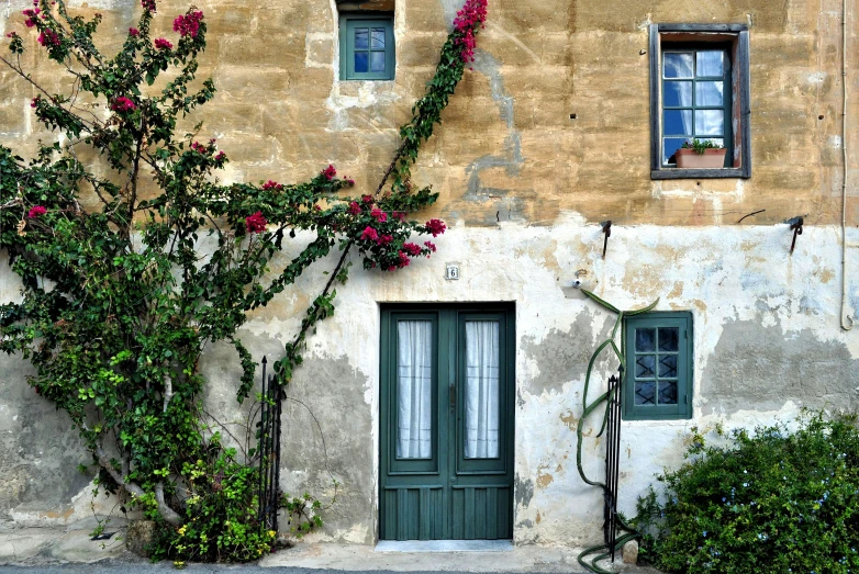 a building with a bunch of flowers growing on the side of it, inspired by Fede Galizia, pexels contest winner, weathered olive skin, doors to various living quarters, greek fabric, green vines