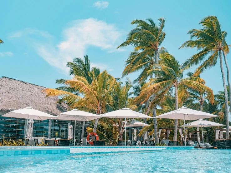 a large swimming pool surrounded by palm trees, pexels contest winner, parasols, 💋 💄 👠 👗, madagascar, profile image