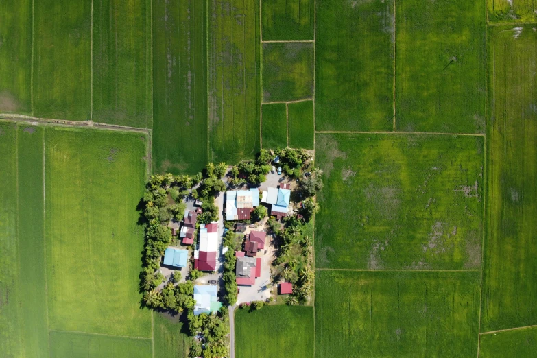 an aerial view of a small village in the middle of a green field, an album cover, pexels, hurufiyya, philippines, college, detailed high resolution, vietnam