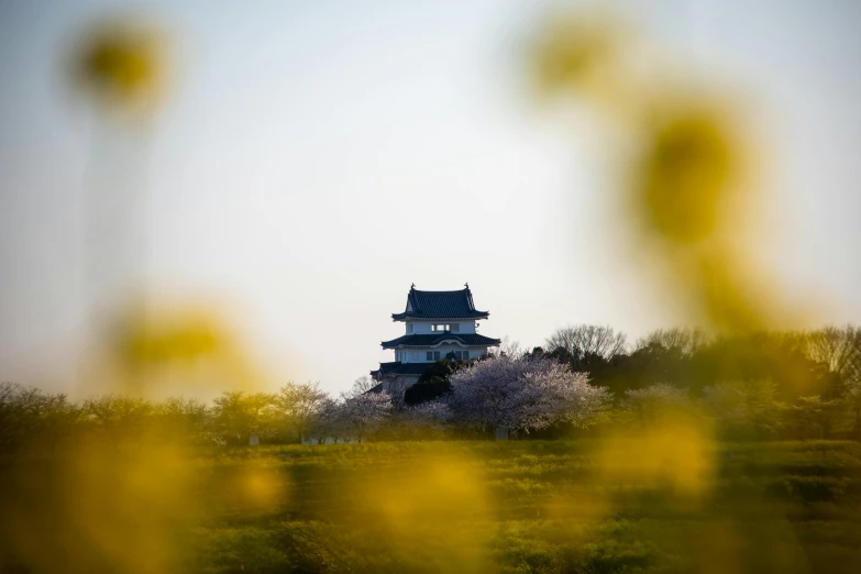 a large building sitting on top of a lush green field, a picture, by Kaii Higashiyama, unsplash, shin hanga, with yellow flowers around it, watch tower, hasselblad film bokeh, cherry blossom