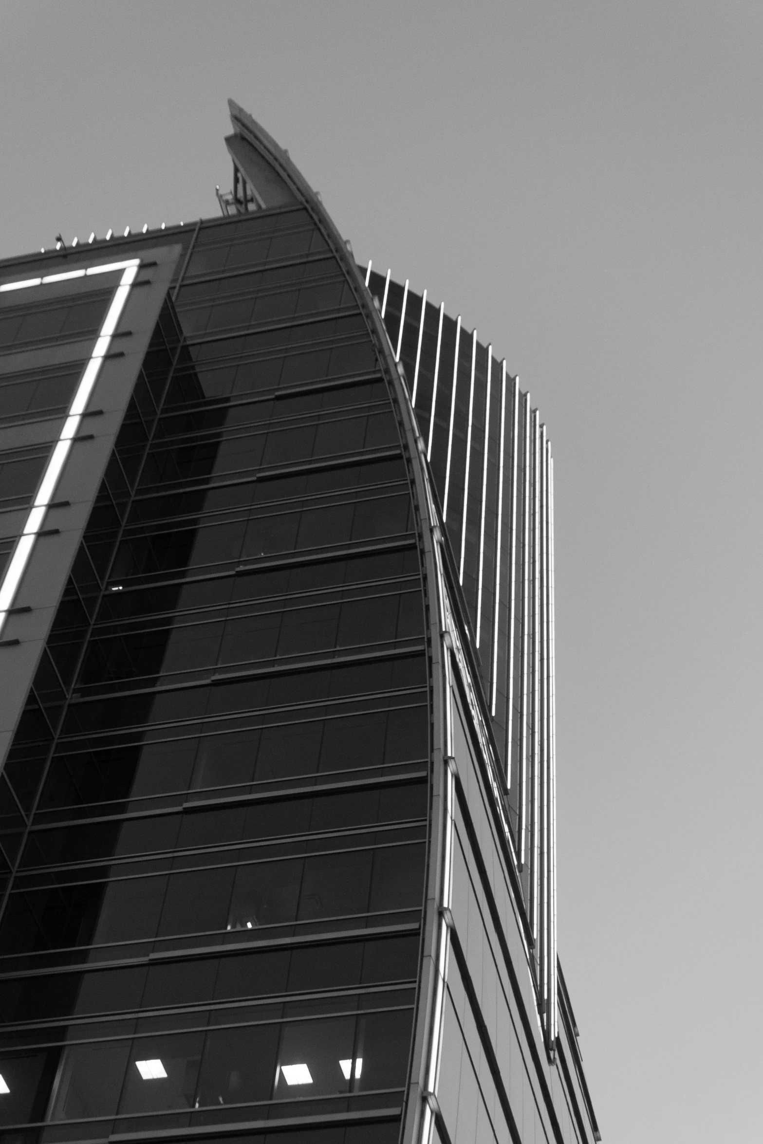 a black and white photo of a tall building, a black and white photo, flickr, square lines, in chippendale sydney, curved, ::