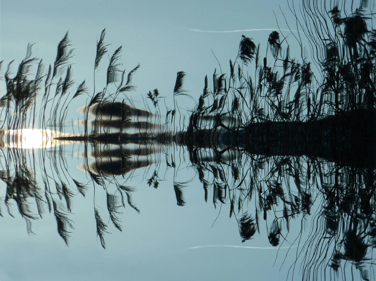 a large body of water surrounded by tall grass, inspired by Chris Friel, pexels contest winner, land art, mirrored, concert, evening sun, intricate image