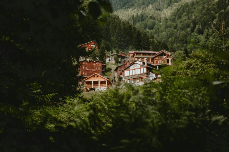 a couple of houses sitting on top of a lush green hillside, chalet, wooden buildings, exterior shot, group photo