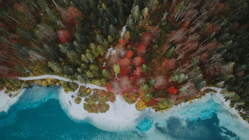 a large body of water surrounded by trees, by Daren Bader, unsplash contest winner, land art, red and teal and yellow, camera looking down upon, cold colours, hyperrealistic fall