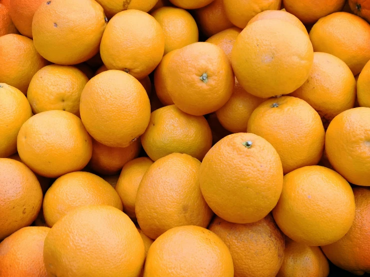 a pile of oranges sitting on top of each other, uncrop, zoomed in, thumbnail, mint