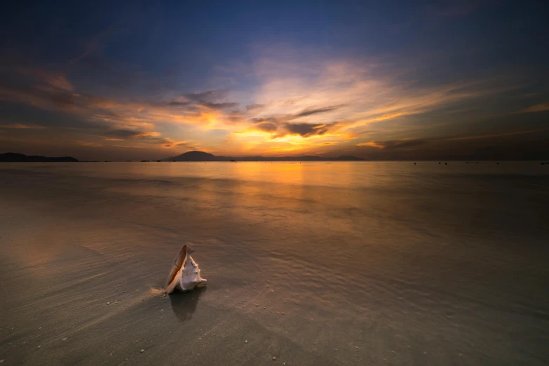 a boat sitting on top of a sandy beach, a portrait, unsplash contest winner, conch shell, ((sunset)), darren quach, long view