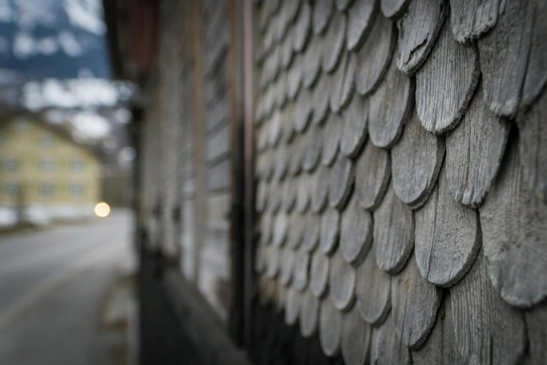 a close up of a building with a street in the background, a mosaic, inspired by Ogata Kōrin, pexels contest winner, shin hanga, wooden bark armor, grey snake scale skin, photographed for reuters, in a row