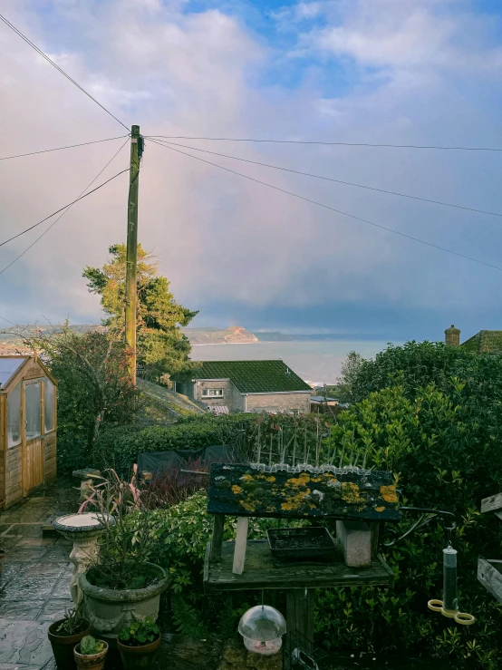 a garden filled with lots of potted plants, inspired by Thomas Struth, unsplash, views to the ocean, fog golden hour, taken from the high street, storm outside