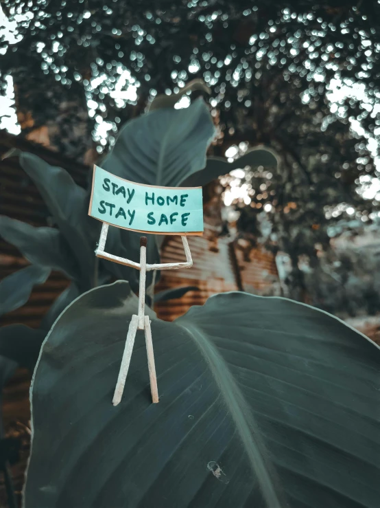 a sign sitting on top of a green leaf, inspired by Elsa Bleda, pexels contest winner, my home, slay, 🚿🗝📝, home album pocket camera photo