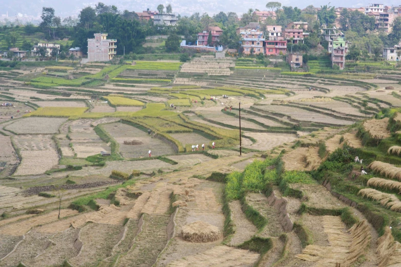 a group of people standing on top of a lush green hillside, hurufiyya, mud and brick houses, rice paddies, layers of strata, nepali architecture buildings