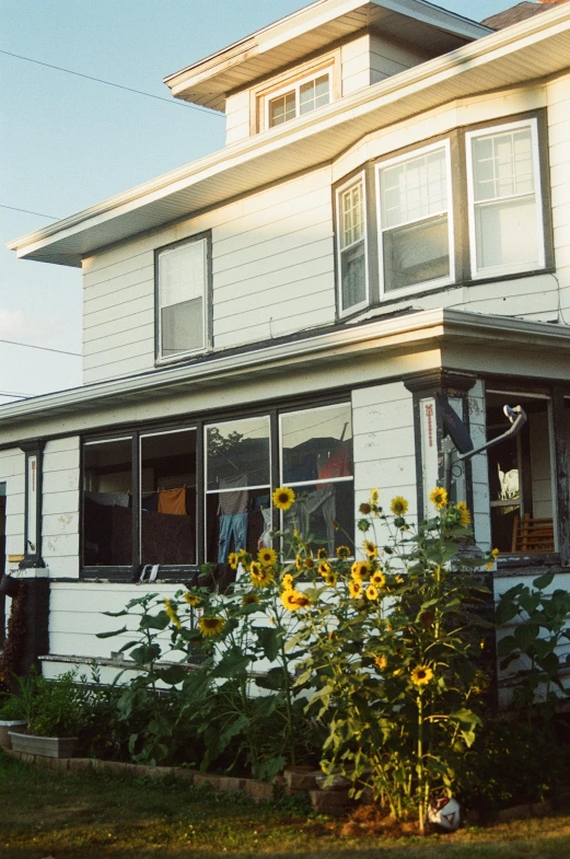 a white house with sunflowers in front of it, inspired by Gregory Crewdson, unsplash, 35mm print, exterior, midwest town, homely atmosphere