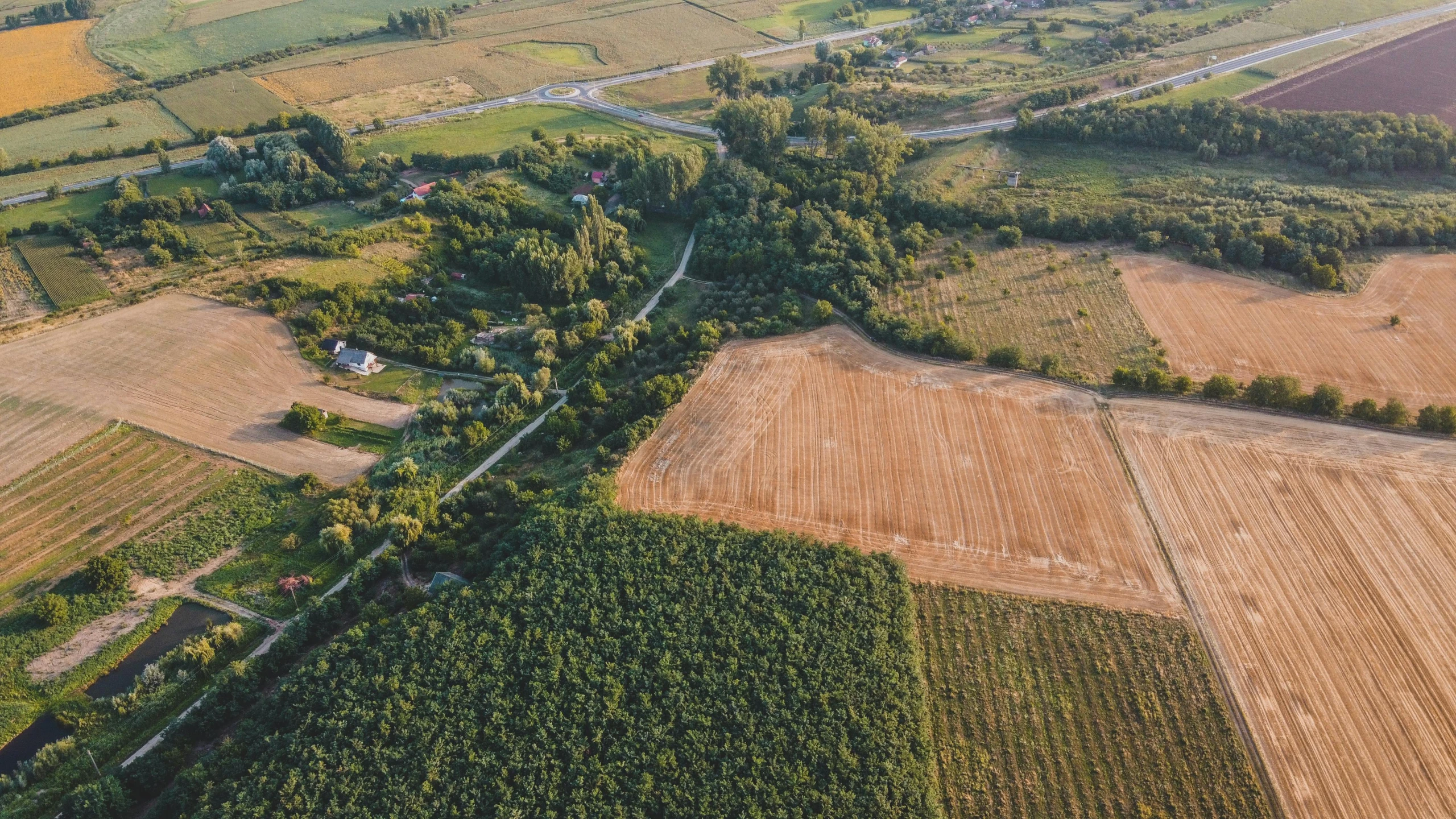 an aerial view of a farm in the country, by Adam Marczyński, shutterstock, deforested forest background, portrait image, ultrawide angle cinematic view, 15081959 21121991 01012000 4k