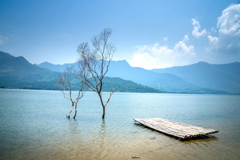 a boat sitting on top of a lake next to a tree, pexels contest winner, land art, guangjian, mountains in distance, small dock, light blue water