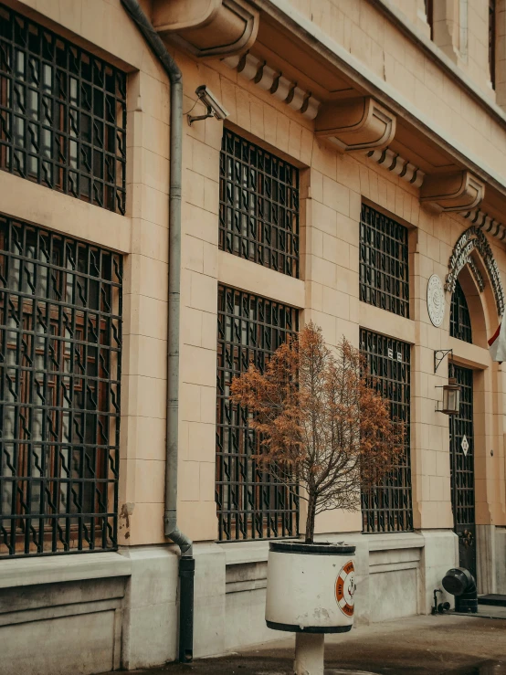 a fire hydrant sitting in front of a building, by Kristian Zahrtmann, pexels contest winner, art nouveau, massive trees with warm windows, prison bars, building cover with plant, set inside of the bank