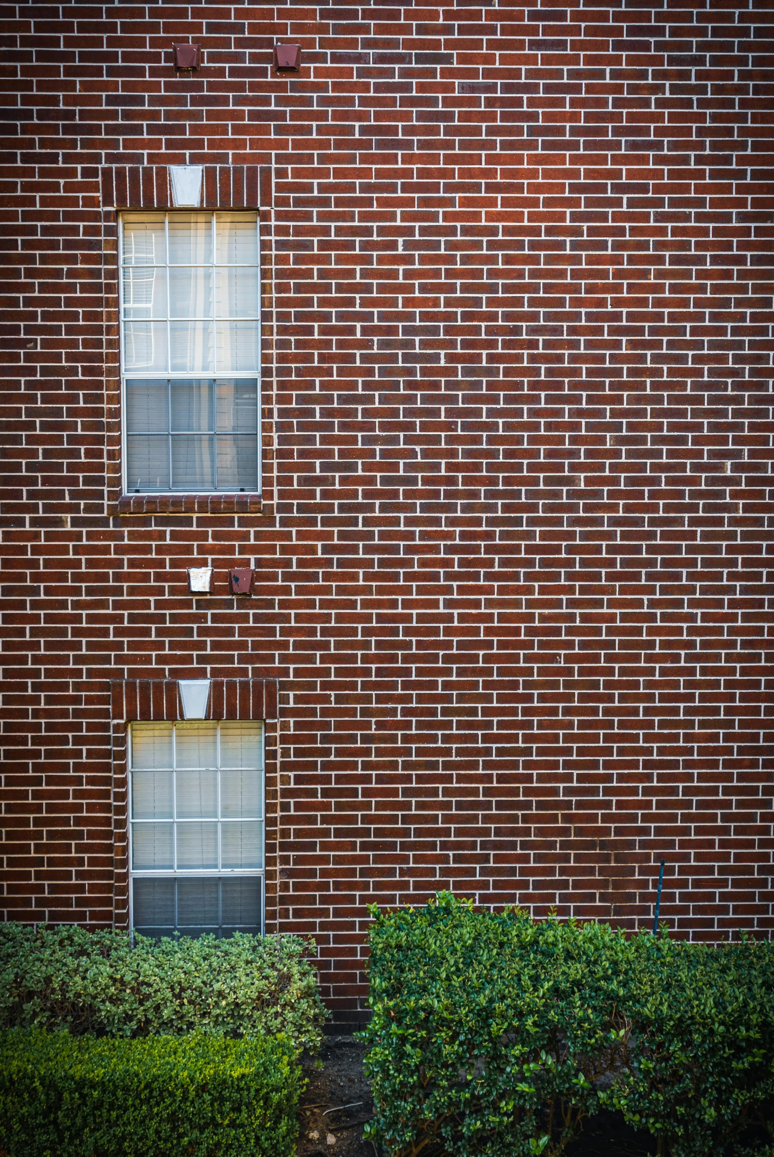 a fire hydrant in front of a brick building, a photo, by Brad Holland, conceptual art, house windows, f / 1. 9 6. 8 1 mm iso 4 0, panels, sense of scale