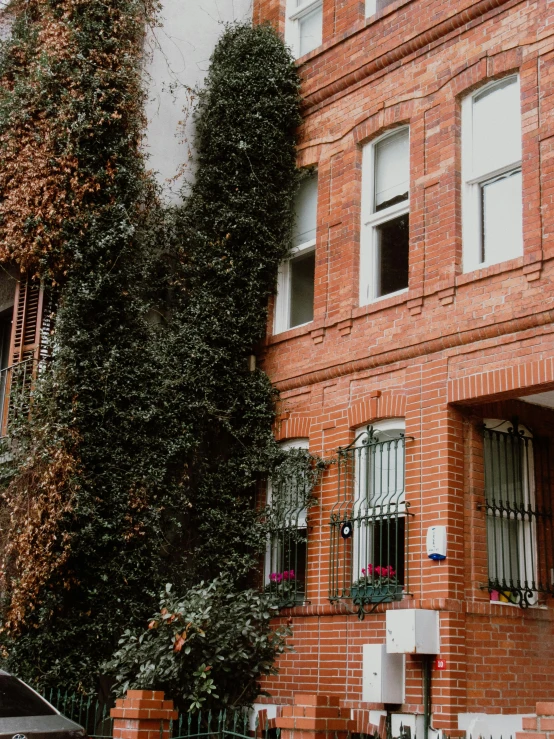 a black car parked in front of a red brick building, a photo, inspired by Elsa Bleda, pexels contest winner, art nouveau, with a few vines and overgrowth, city apartment cozy calm, profile image, vines overflowing