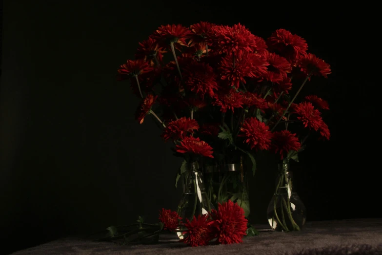 a vase filled with red flowers sitting on top of a table, a still life, inspired by Robert Mapplethorpe, pexels contest winner, dramatic lowkey studio lighting, chrysanthemums, portrait image, ayne haag