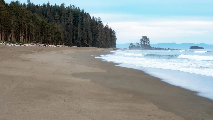 a man riding a surfboard on top of a sandy beach, by Jim Nelson, pexels contest winner, renaissance, spruce trees on the sides, haida, panoramic shot, maple syrup sea