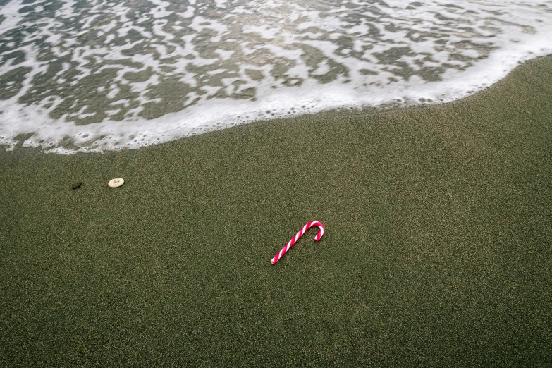 a candy cane sitting on top of a sandy beach, an album cover, unsplash, sea weed, ignant, float, holiday