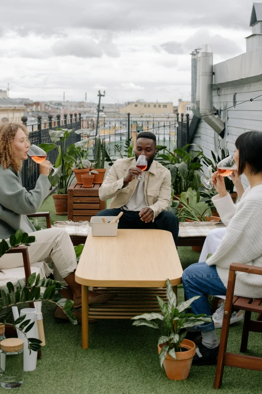 a group of people sitting around a table on top of a roof, holding a drink, plants, underrated, high-quality photo