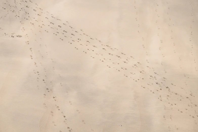 a group of people standing on top of a sandy beach, inspired by Andreas Gursky, pexels, land art, flying beetles, ultrafine detail, biplanes flying, dots abstract